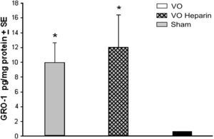 Expresión de proteína de GRO-1 durante la oclusión venosa. La oclusión venosa (OV) con y sin heparina dio lugar a un aumento considerable de los niveles de GRO-1 comparado con animales sometidos a simulación (∗p < 0,001). GRO-1: oncogén 1 relacionado con el crecimiento. GRO-1 pg/mg protein ±DR: GRO-1 pg/ml de proteína ± EE. VO: Obstrucción venosa. VO Heparin: Obstrucción venosa + heparina. Sham: Simulación.