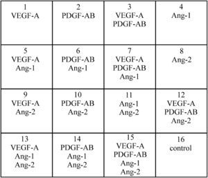 Muestra de las combinaciones de factores estudiados con el número de grupos y los factores correspondientes. Ang: angiopoyetina; PDGF: factor de crecimiento plaquetario; VEGF: factor de crecimiento del endotelio vascular.