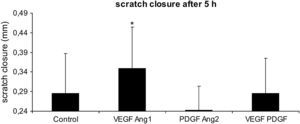 Influencia de las diferentes combinaciones de factores angiogénicos en el cierre de la lesión endotelial. Las monocapas HUVEC del primer pase se arañaron con la punta de una pipeta, y se midió el cierre del arañazo 5h después en un grupo control (medio de cultivo celular solamente) o en presencia de VEGF-A165 más ANG1, PDGF más ANG2, o VEGF-A165 más PDGF. Los resultados se presentan como la media±DE para n=7, ∗p≤0,05. Scratch closure alter 5h: cierre del arañazo tras 5h; Scratch closure (mm)=cierre del arañazo (mm).