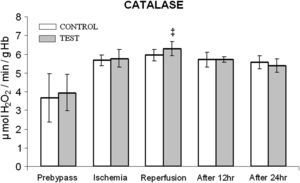 Cambios en la actividad de la catalasa. El grupo de control representa a los pacientes a quienes sólo se administró cardioplejía. El grupo de prueba representa a los pacientes a los que en la solución de cardioplejía se añadió N-acetilcisteína (NAC) (50 mg/kg de peso corporal). ‡p < 0,01 en comparación con el grupo de control. After 12 hr: después de 12 h; After 24 hr: después de 24 h; CATALASE: catalasa; Prebypass: pre-bypass; Ischemia: isquemia; Reperfusion: reperfusión; TEST: prueba.