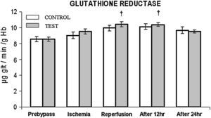 Cambios en la actividad de la glutatión reductasa. El grupo de control representa a los pacientes a quienes sólo se administró cardioplejía. El grupo de prueba representa a los pacientes a los que en la solución de cardioplejía se añadió N-acetilcisteína (NAC) (50 mg/kg de peso corporal). †p < 0,001 en comparación con el grupo de control. After 12 hr: después de 12 h; After 24 hr: después de 24 h; GLUTATHIONE REDUCTASE: glutatión reductasa; Ischemia: isquemia; Prebypass: pre-bypass; Reperfusion: reperfusión; TEST: prueba.