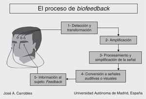 El proceso de la terapia de biofeedback.