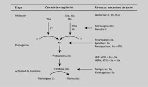 Dianas terapéuticas de los anticoagulantes utilizados en la práctica clínica. HBPM: heparinas de bajo peso molecular; HNF: heparina no fraccionada.