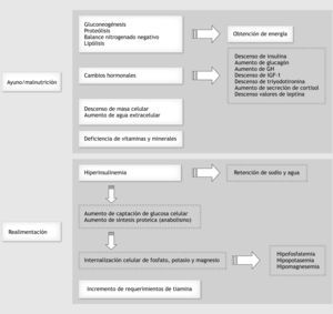 Fisiopatología del síndrome de realimentación.