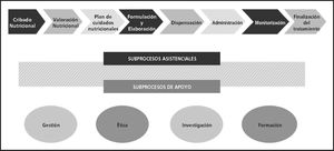 Etapas definidas en el proceso de Soporte Nutricional Especializado.