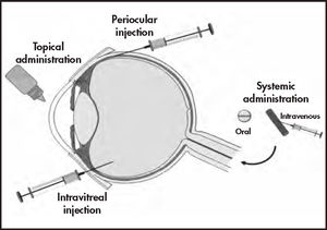 Ocular routes for drug delivery systems53.