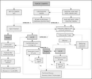 Algorithm for a nutritional approach to cancer patients.