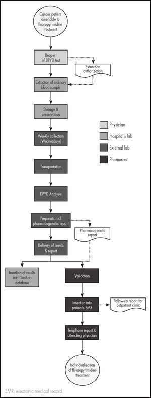 DPYD's determination process diagram.
