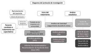 Diagrama de flujo en el que se describen de forma cronológica los procedimientos a realizar en las diferentes fases del protocolo: fase de reclutamiento, fase tras el inicio del tratamiento y fase final tras el análisis estadístico de los datos.