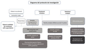 Chronological flowchart of the procedures to be followed in the different phases of the protocol: recruitment phase, phase after initiating treatment, and final phase after statistical data analysis. CPIC, Clinical Pharmacogenetics Implementation Consortium.