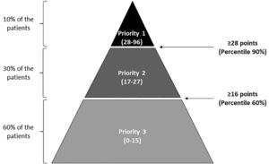 Risk stratification pyramid for the pharmaceutical care of patients with solid or hematological malignancies.