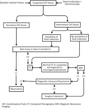 Diagnosis and management of cerebrospinal fluid fistulas.