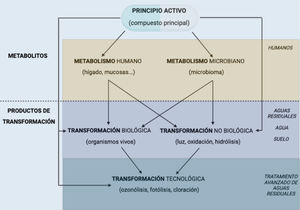 Metabolitos y productos de transformación de fármacos. Fuente: Kümmerer K7.