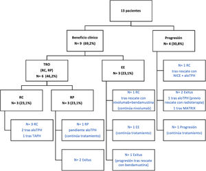 Resultados de efectividad de la monoterapia con nivolumab y estrategia terapéutica posterior. TRO: tasa respuesta objetiva; RC: respuesta completa; RP: respuesta parcial; TAPH: trasplante autógeno de progenitores hematopoyéticos; aloTPH: trasplante alogénico de progenitores hematopoyéticos; NICE: nivolumab-ifosfamida-carboplatino-etopósido; NICE: nivolumab + ifosfamida/carboplatino/etopósido; MATRIX: metotrexato/citarabina/rituximab/tiotepa.