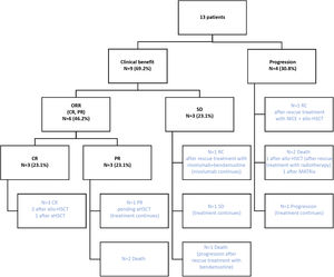 Effectiveness of nivolumab monotherapy and subsequent therapeutic strategy. ORR, objective response rate; CR, complete response; PR, partial response; aHSCT, autologous haematopoietic stem cell transplantation; allo-HSCT, allogeneic haematopoietic stem cell transplantation; NICE, nivolumab + ifosfamide/carboplatin/etoposide; MATRix, methotrexate/cytarabine/rituximab/thiotepa.