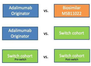 Analyses performed according to treatment received. Three analyses were performed: adalimumab originator vs. biosimilar MSB11022; adalimumab originator vs. switch cohort; and pre- and post-switch comparison.