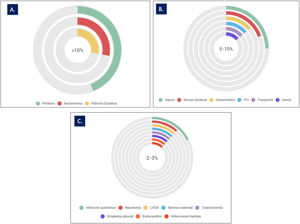 Representación del porcentaje de distintas infecciones revisadas en 66 casos clínicos tratados con terapia con fagos: A) porcentaje de infecciones >10%; B) porcentaje de infecciones 5–10%; C) Porcentaje de infecciones 2–3%.
