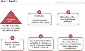 Paquete de medidas de reanimación inicial a aplicar dentro de la primera hora tras el diagnóstico de sepsis y shock séptico.