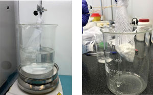 In vitro model assay. a) Divalproex sodium tablets inside SGF. b) Divalproex sodium tablets outside SGF.