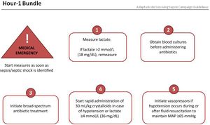 Set of initial resuscitation measures to be applied within the first hour after diagnosis of sepsis and septic shock. MAP, mean arterial pressure.