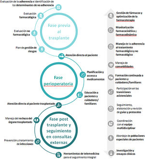Principales funciones en las que puede participar el farmacéutico de hospital en el recorrido asistencial del paciente trasplantado de órgano sólido.