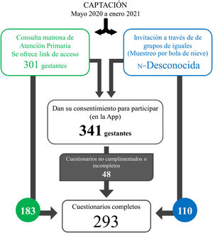 Esquema del estudio.
