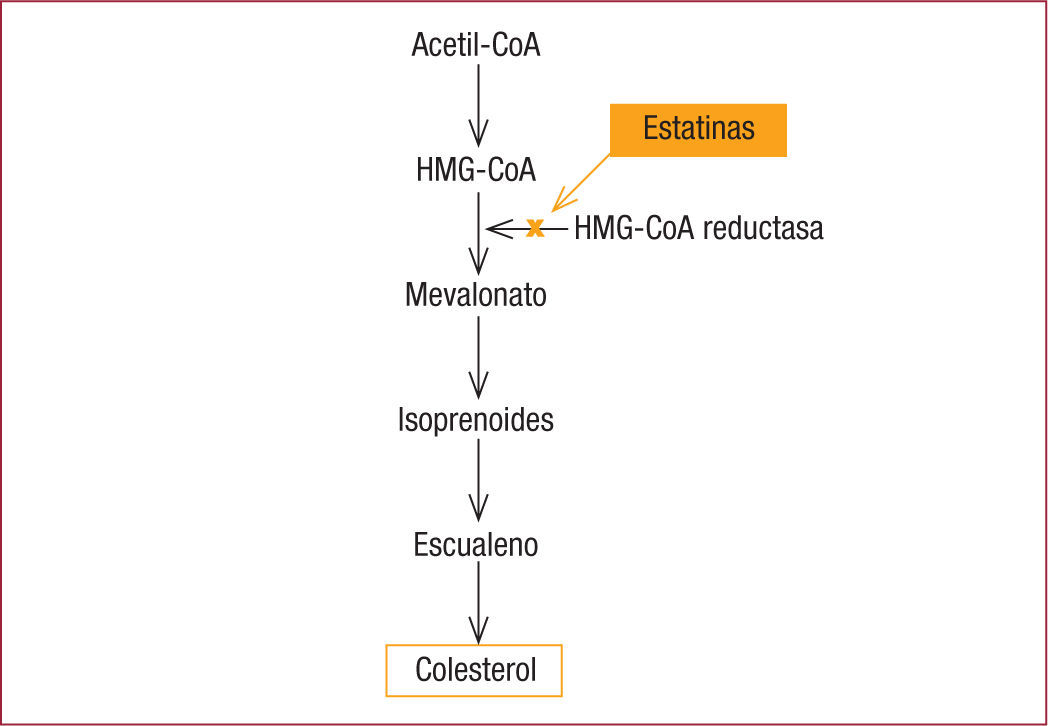 del-concepto-de-estatinas-de-alta-potencia-a-los-efectos-extralip-dicos