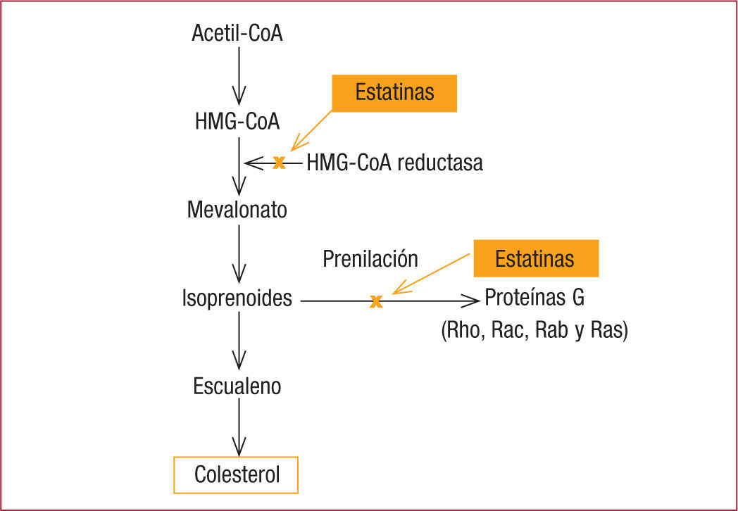 Del concepto de estatinas de alta potencia a los efectos extralipídicos