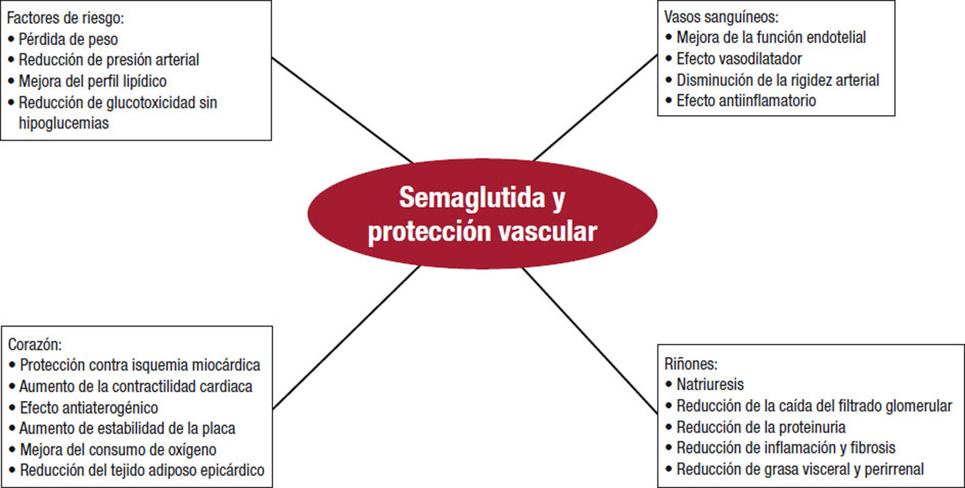 Abordaje prctico de la semaglutida en el paciente con diabetes tipo 2 - Revista Espaola de Cardiologa Abordaje prctico de la semaglutida en el paciente con diabetes tipo 2 - Revista Espaola de Cardiologa