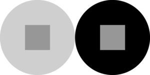 Example of a Sensorial Contrast Effect with Visual Stimuli. Note. The effect consists of perceiving the square situated inside the circle on the left as darker than the square situated inside the circle on the right (although both squares are made of the same tone of grey).