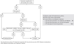 Indicaciones de cirugía en la IAo de la Sociedad Europea de Cardiología.