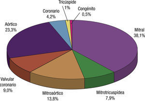 Frecuencia relativa de las diferentes cardiopatías estructurales asociadas a la ablación quirúrgica de la fibrilación auricular en España durante el año 2011.
