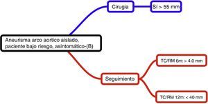 Estrategia propuesta en el paciente con aneurisma de arco aórtico asintomático. Fuente: Hiratzka et al.4.
