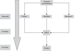 Esquema evolutivo de la fisiología. Ventrículo único.