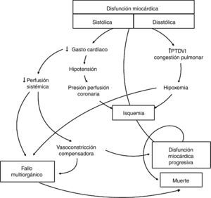 Fisiopatología del shock cardiogénico. Modificado de Harrison