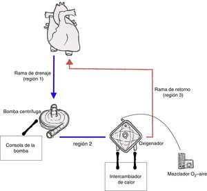 Circuito básico de la ECMO. En las 3 regiones del circuito indicadas debe procederse a la monitorización de presiones (P1, P2 y P3, respectivamente).