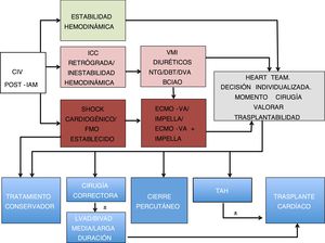 Propuesta de algoritmo de tratamiento de CIV postinfarto de miocardio. BCIAO: balón de contrapulsación intraaórtico; BIVAD: biventricular assist device; CIV: comunicación interventricular; DBT: dobutamina; DVA: fármacos vasoactivos; ECMO-VA: membrana de oxigenación extracorpórea veno-arterial; FMO: fallo multiorgánico; IAM: infarto agudo de miocardio; ICC: insuficiencia cardíaca; LVAD: left ventricular assist device; NTG: nitroglicerina; TAH: total artificial heart; VMI: ventilación mecánica invasiva.