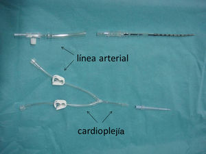 Cánula en «Y», permitiendo conexión a línea arterial y cardioplejía.