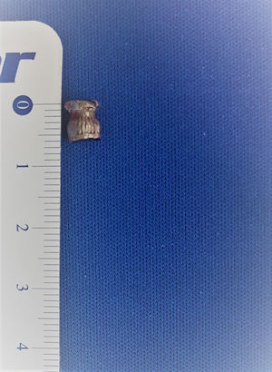 Figura 3