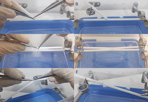 Training by operative simulation in vascular anastomosis. (A, B) E-T-S anastomosis. (C, D) S-T-S anastomosis. (E, F) E-T-E anastomosis.
