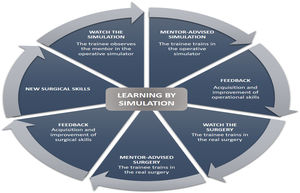 Proposed model for surgical learning by operative simulation.