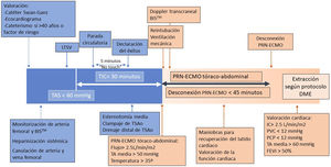 Gráfico temporal de donación en asistolia controlada. BISTM: espectrometría biespectral; FEVI: fracción de eyección del ventrículo izquierdo; DME: donación en muerte encefálica; IC: índice cardiaco; LTSV: limitación de terapias de soporte vital; PCP: presión capilar pulmonar; PRN-ECMO: perfusión regional normotérmica con oxigenación de membrana extracorpórea; PVC: presión venosa central; TA: tensión arterial; TAS: tensión arterial sistólica; TIC: tiempo de isquemia caliente; TSAo: troncos supraaórticos.
