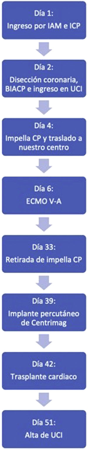 Línea temporal con los acontecimientos relevantes del caso expuesto.