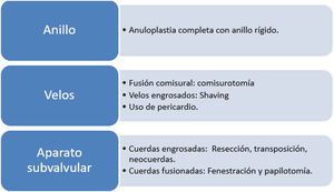 Técnicas específicas de reparación mitral reumática.