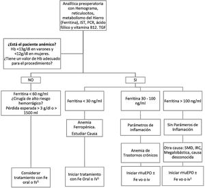 Algoritmo de optimización preoperatoria de la hemoglobina con hierro y eritropoyetina. Fe: hierro; Hb: Hemoglobina; i.v.: intravenoso; IRC: insuficiencia renal crónica; IST: índice de saturación de la transferrina; PCR: proteína C reactiva; rHuEPO: eritropoyetina humana recombinante; SMD: síndrome mielodisplásico; TGF: tasa de filtrado glomerular; vo: vía oral. 1 Si el tiempo disponible para la optimización de Hb no es suficiente, hay intolerancia al Fe oral, déficit funcional o poca respuesta a rHuEPO, se administrará Fe i.v..