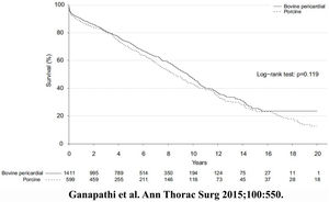 Risk-adjusted survival after bovine pericardial versus porcine aortic valve replacement in Duke Cardiovascular Databank.9 Risk adjustment was performed with a Cox proportional hazards model.