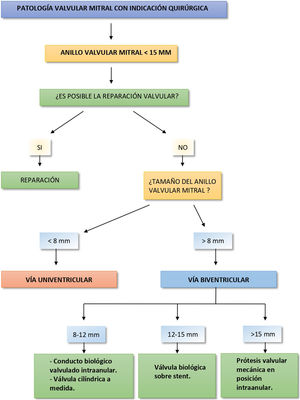 Esquema de decisión basado en el tamaño del anillo mitral.