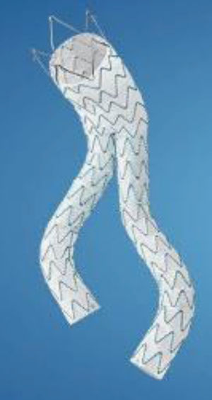 Endoprótesis Endurant II® (Medtronic).
