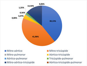 Procedimientos polivalvulares.