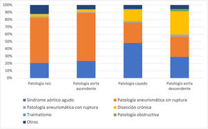Afección de la aorta por segmentos.